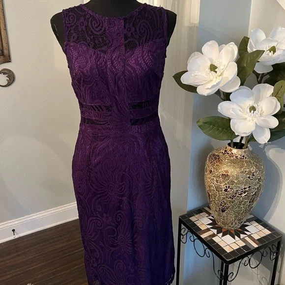 En Focus Studio Purple lace dress Size 6